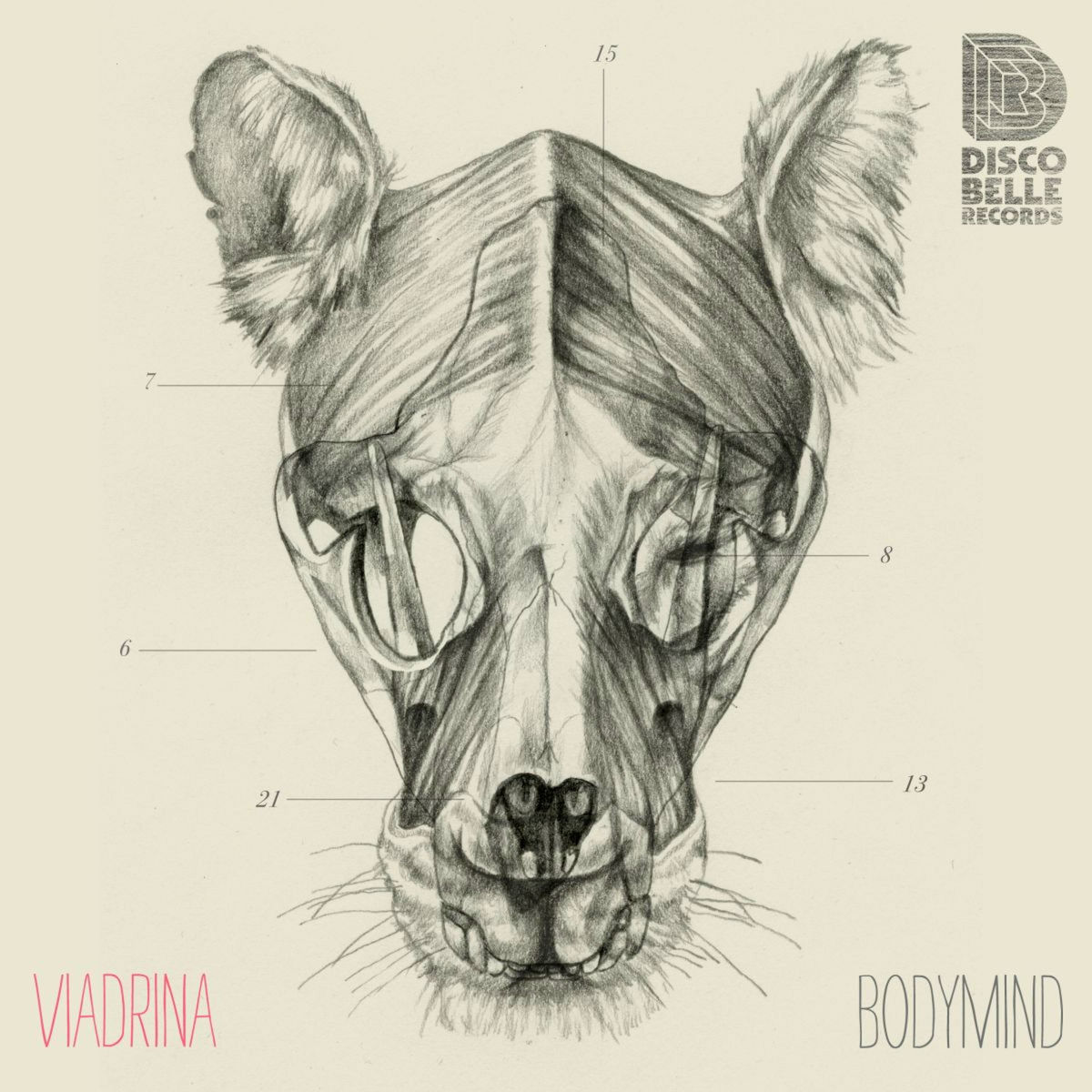 Album cover of Bodymind