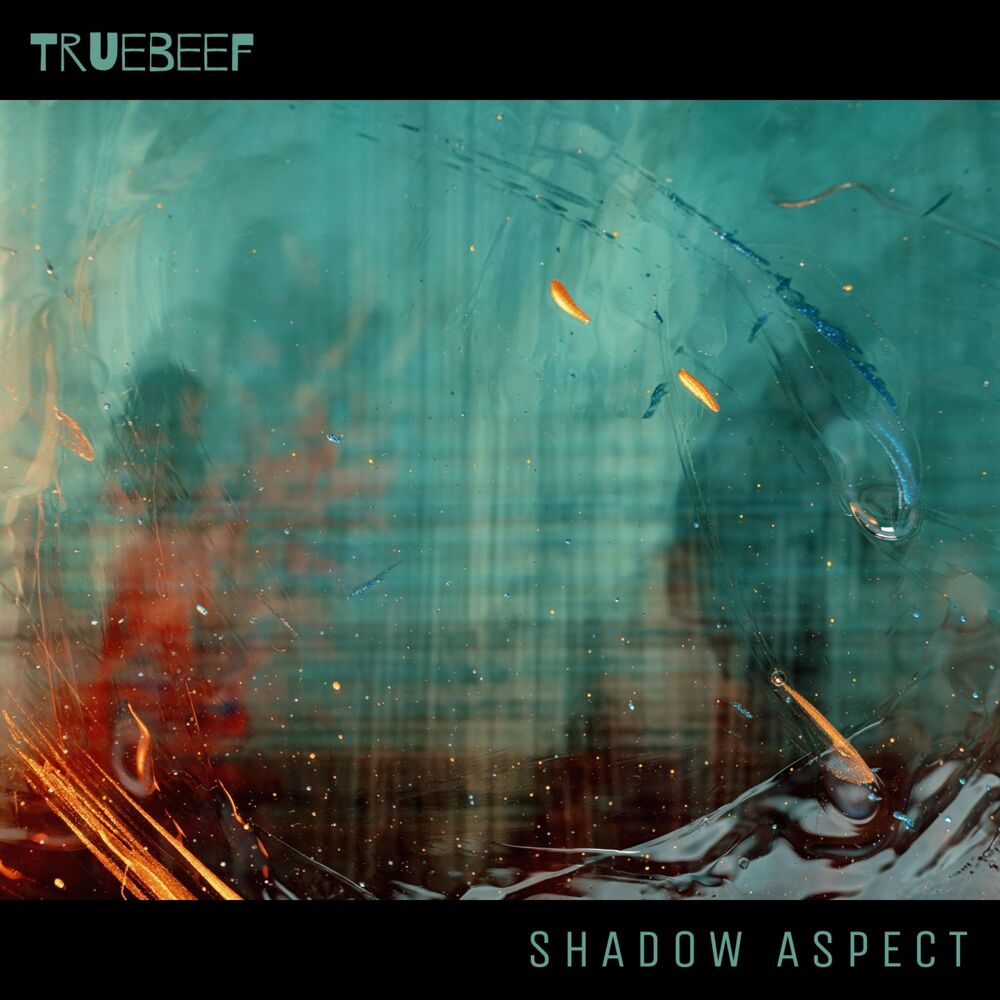Picture of Shadow Aspect