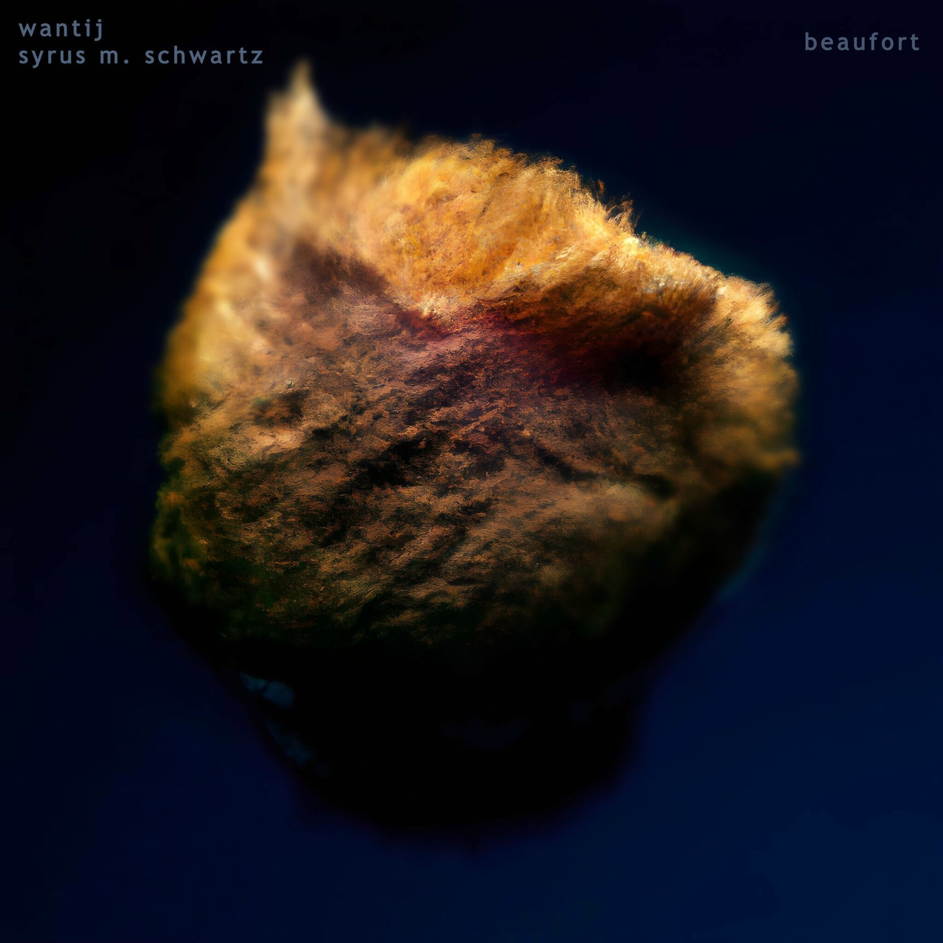 Album cover of beaufort (ft. Syrus M. Schwartz)