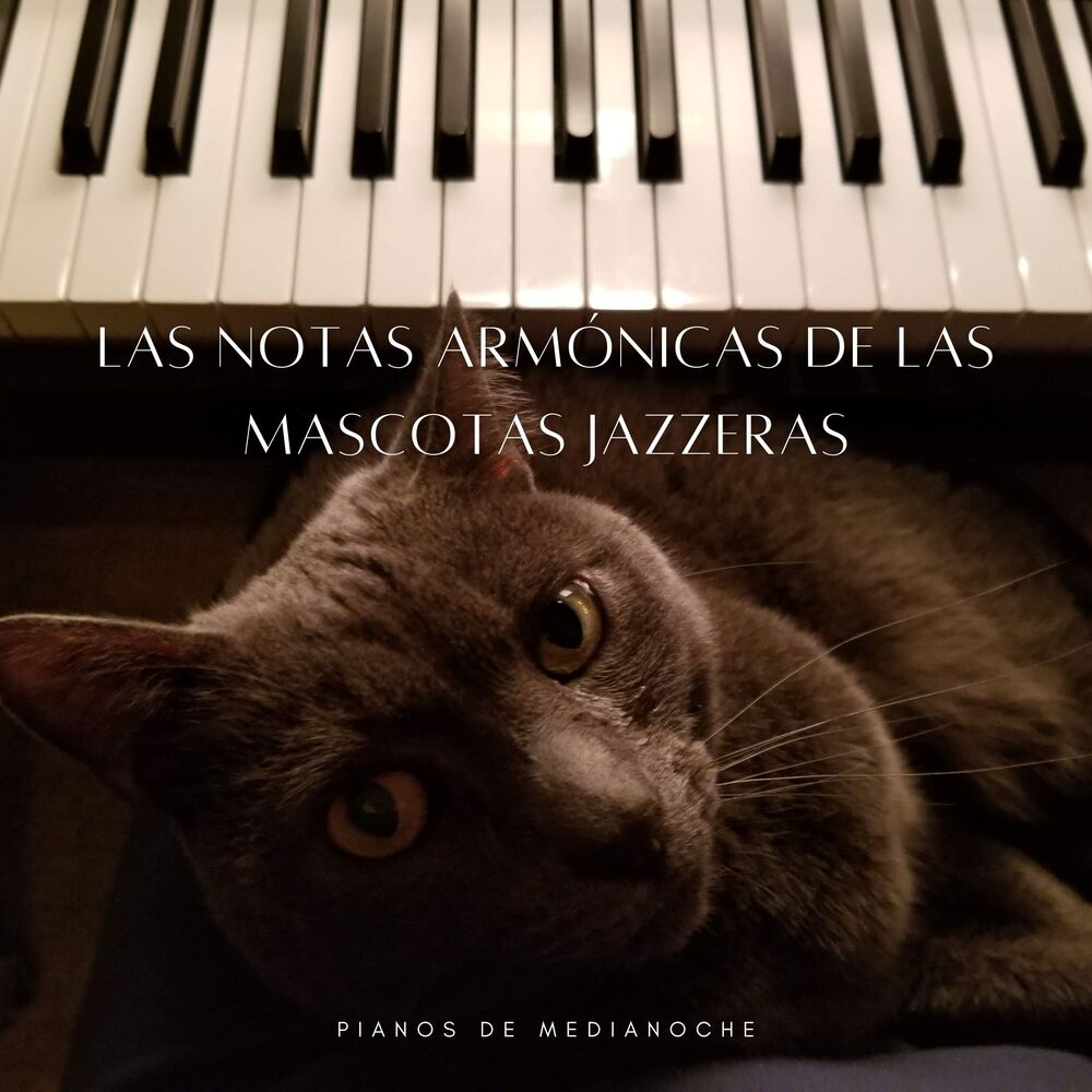 Picture of Pianos De Medianoche: Las Notas Armónicas De Las Mascotas Jazzeras