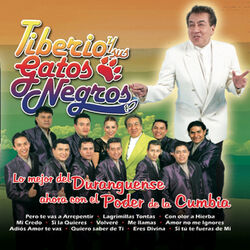 Cover of Duranguense en Cumbia