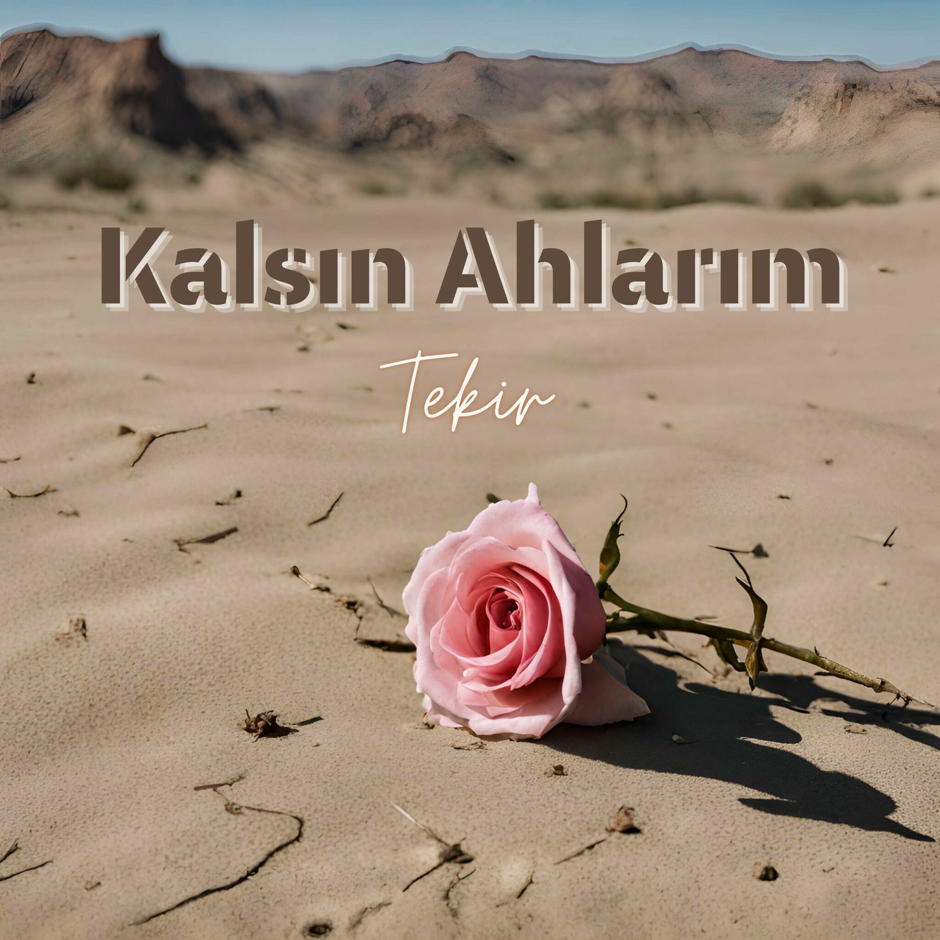 Album cover of Kalsın Ahlarım