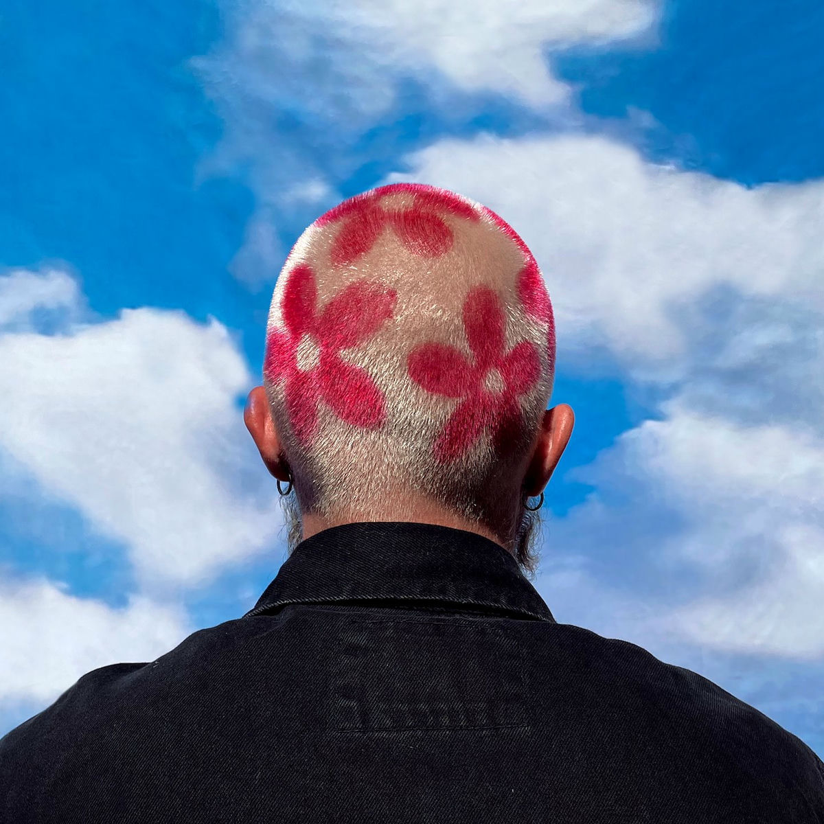 Album cover of Fleurs