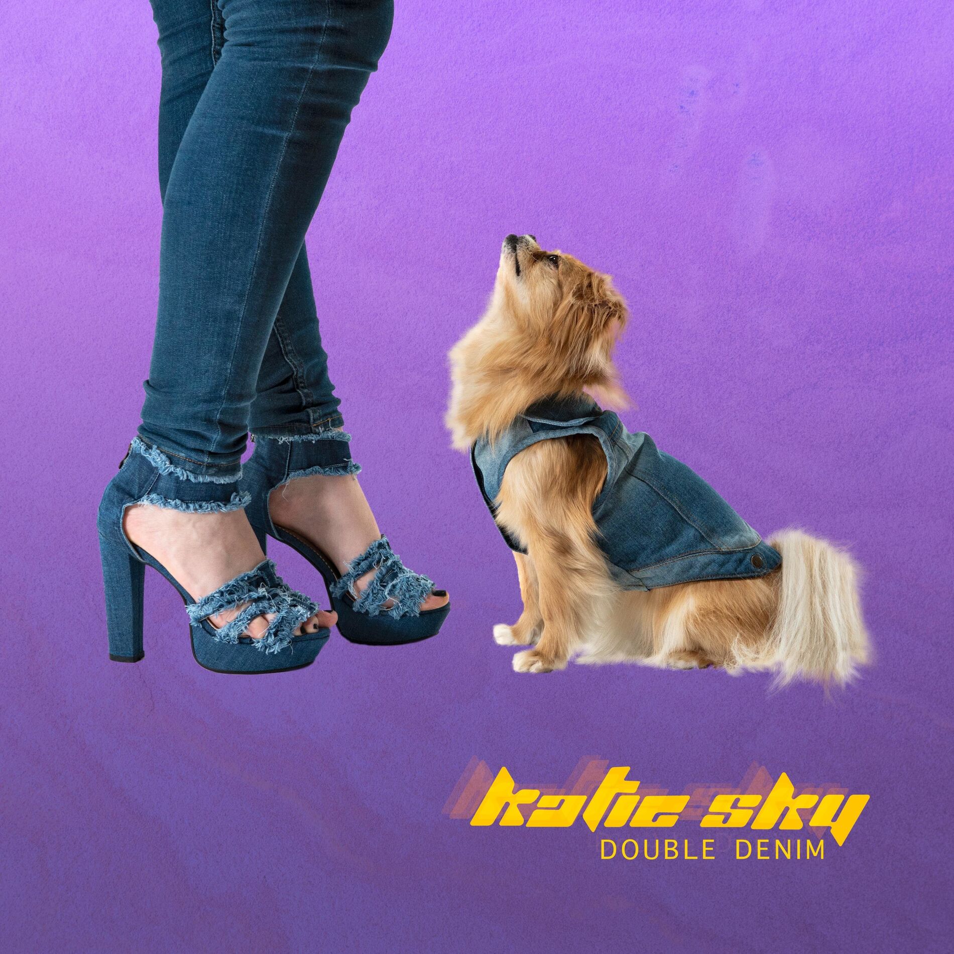 Album cover of Double Denim