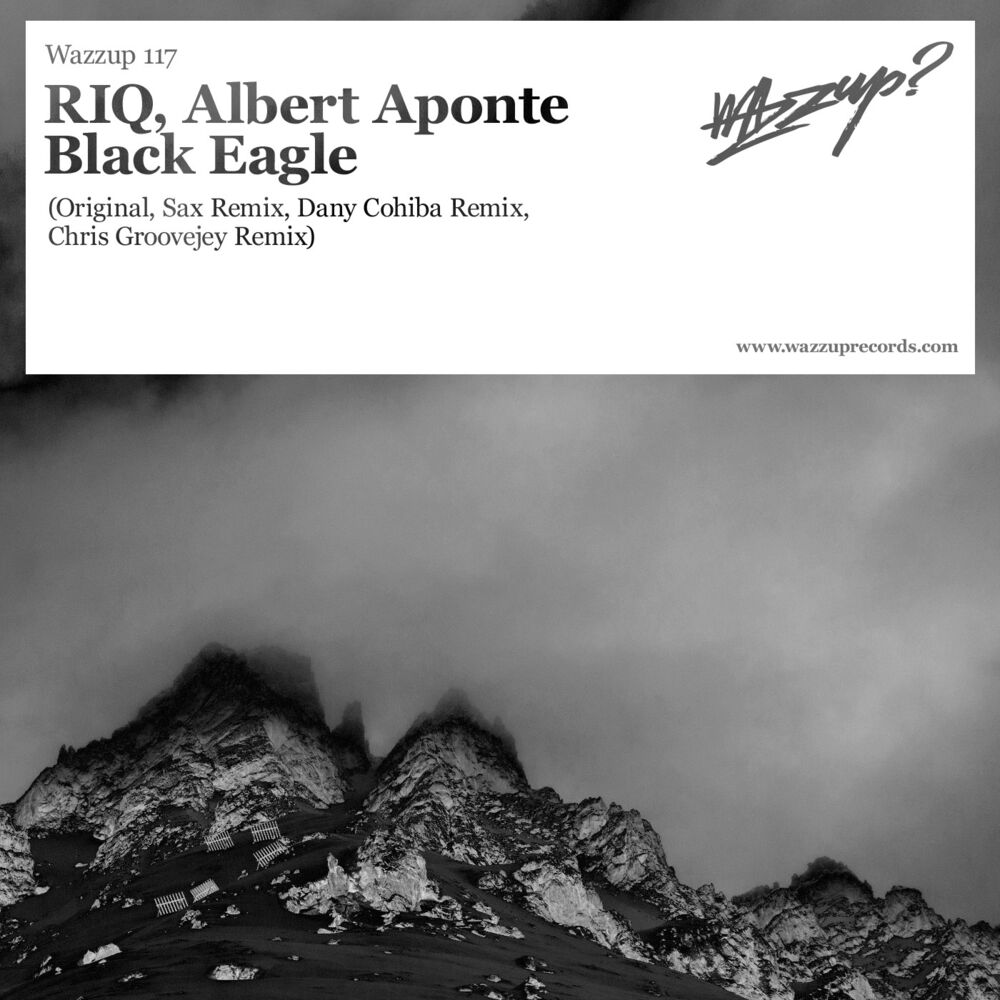 Picture of Black Eagle