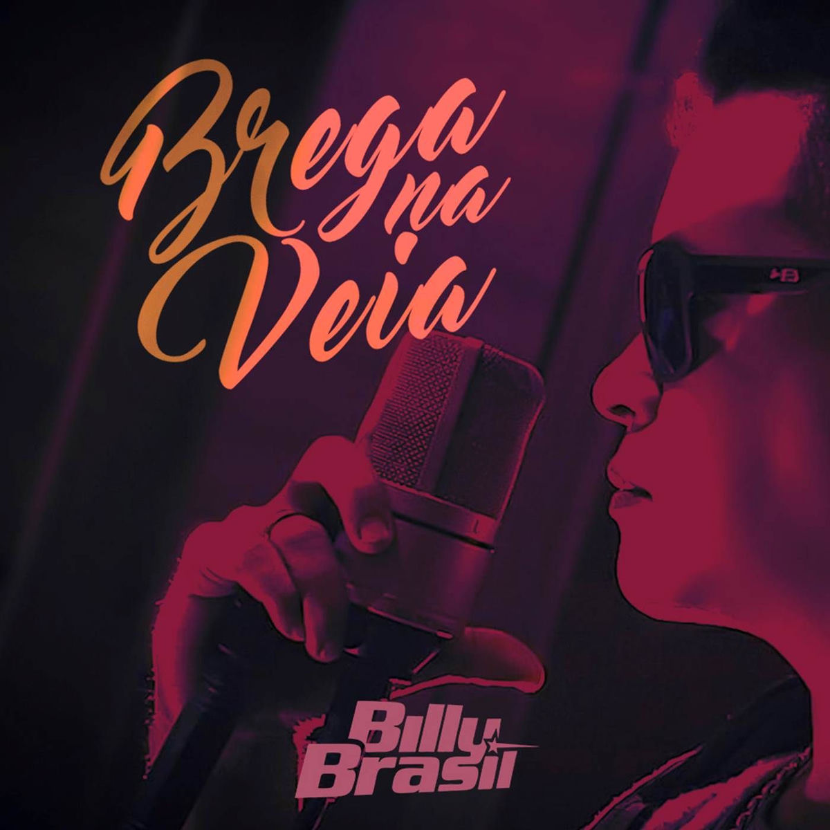 Album cover of Brega na Veia