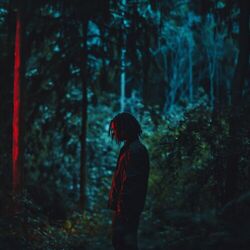 Cover of Lost