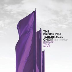 Cover of Declare Your Name (Live Worship)