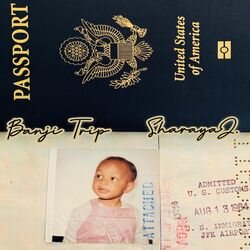 Cover of Banji Trip