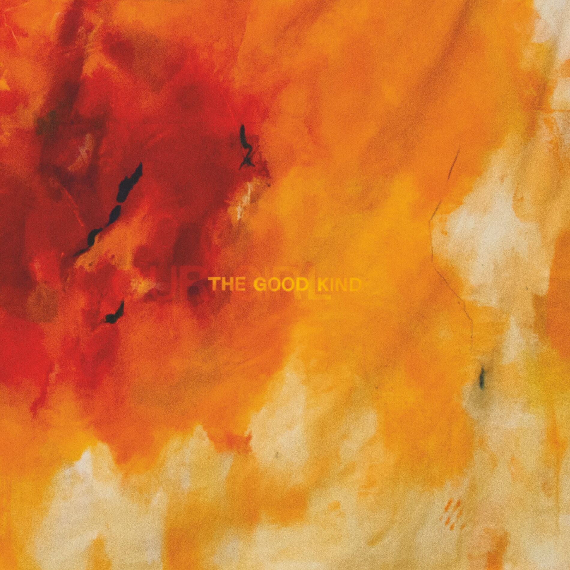 Album cover of The Good Kind