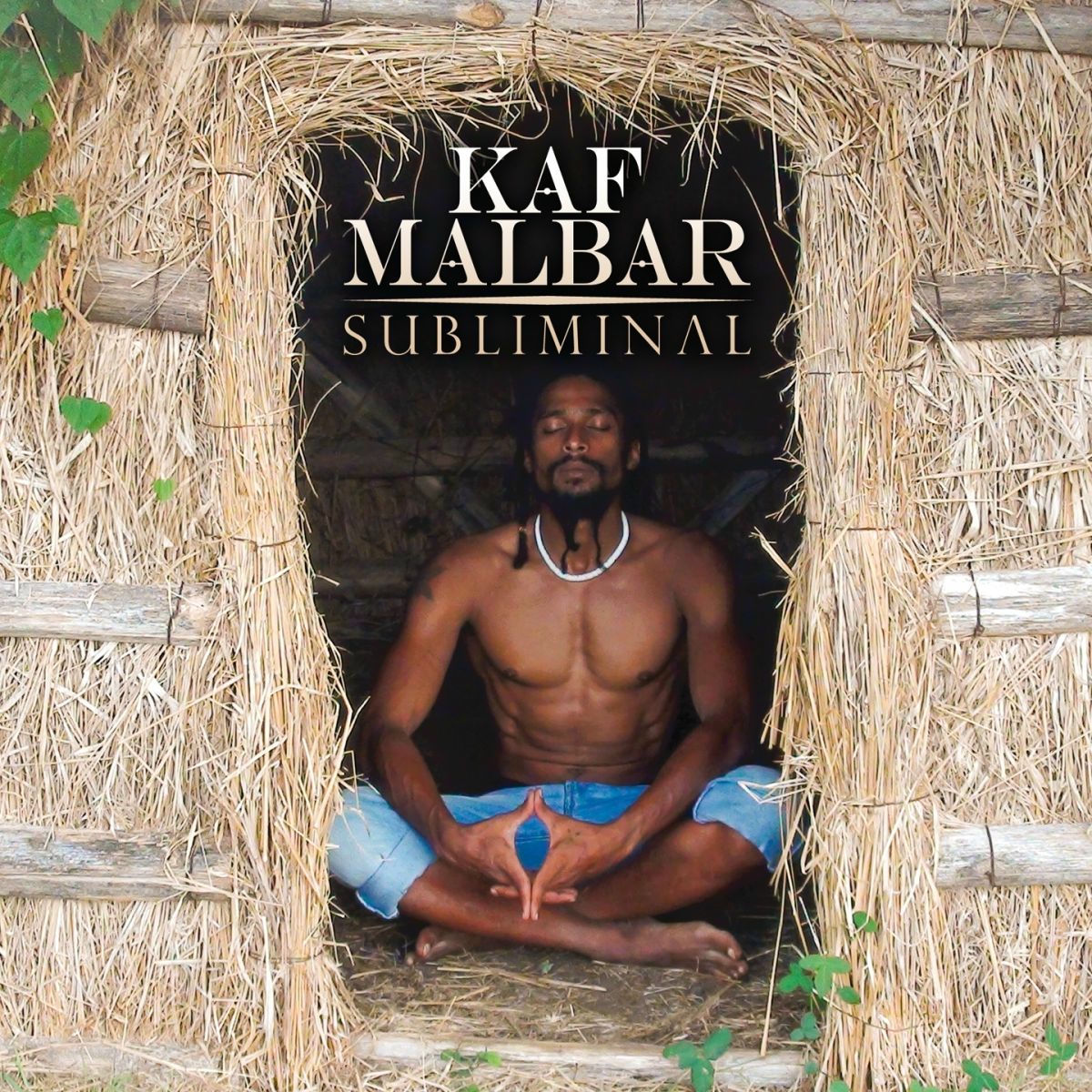 Album cover of Subliminal