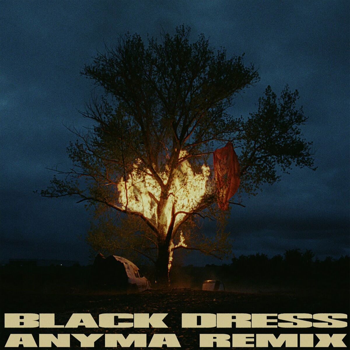 Album cover of Black Dress