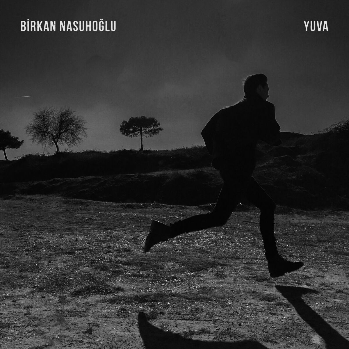 Album cover of Sevsene Beni