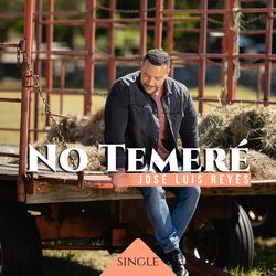 Cover of No Temeré