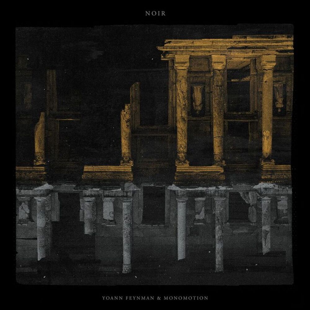 Picture of Noir