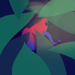 Cover of Cache cache
