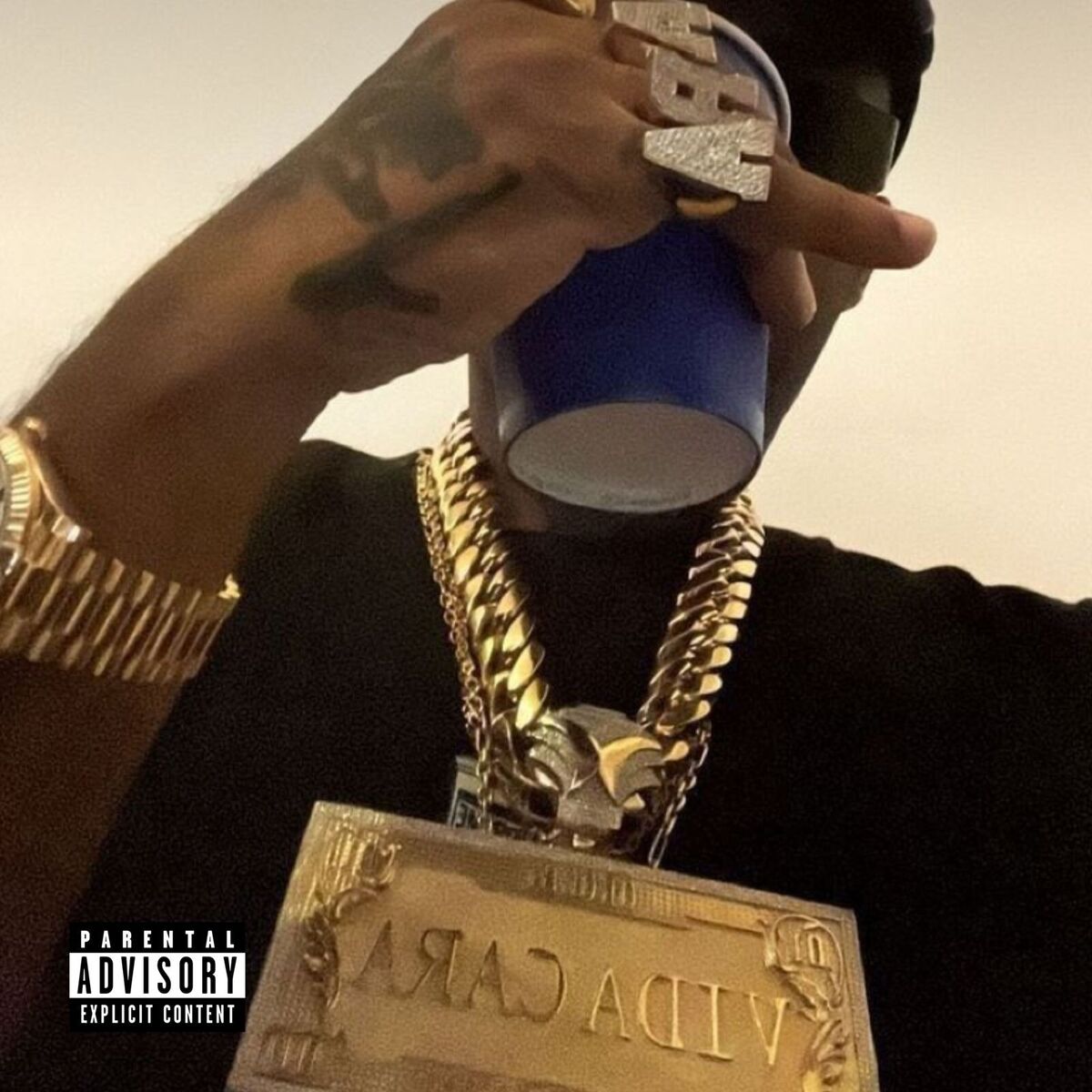 Album cover of Vida Rasa