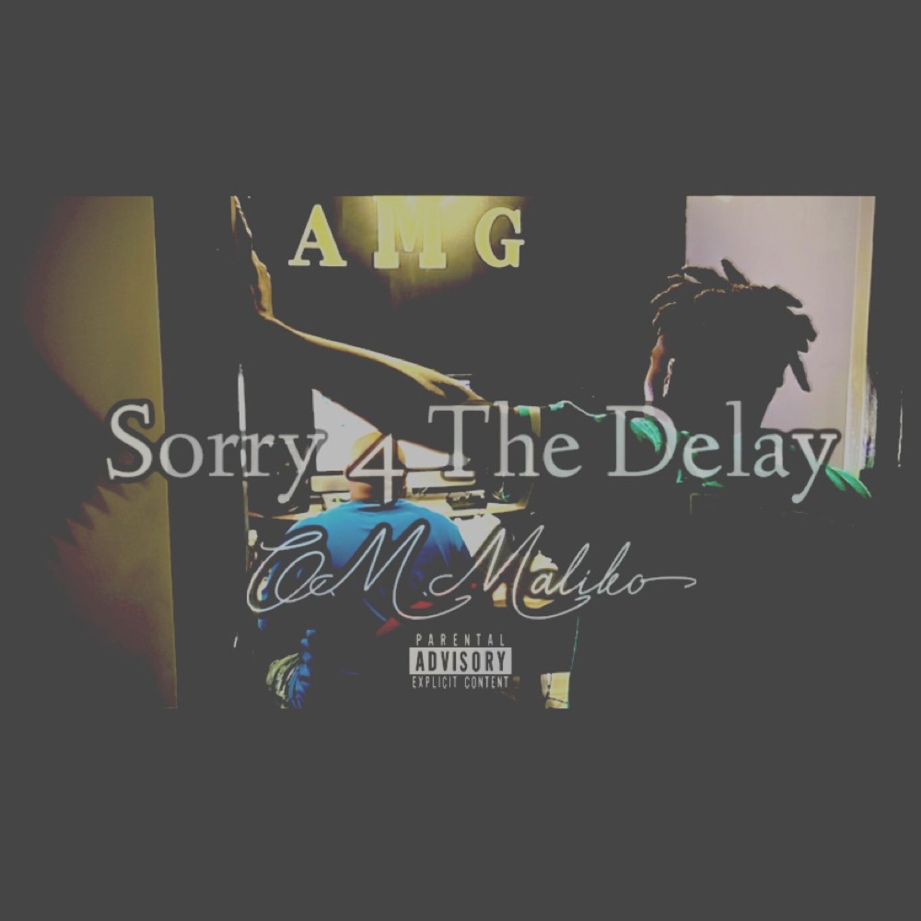 Album cover of Sorry 4 The Delay