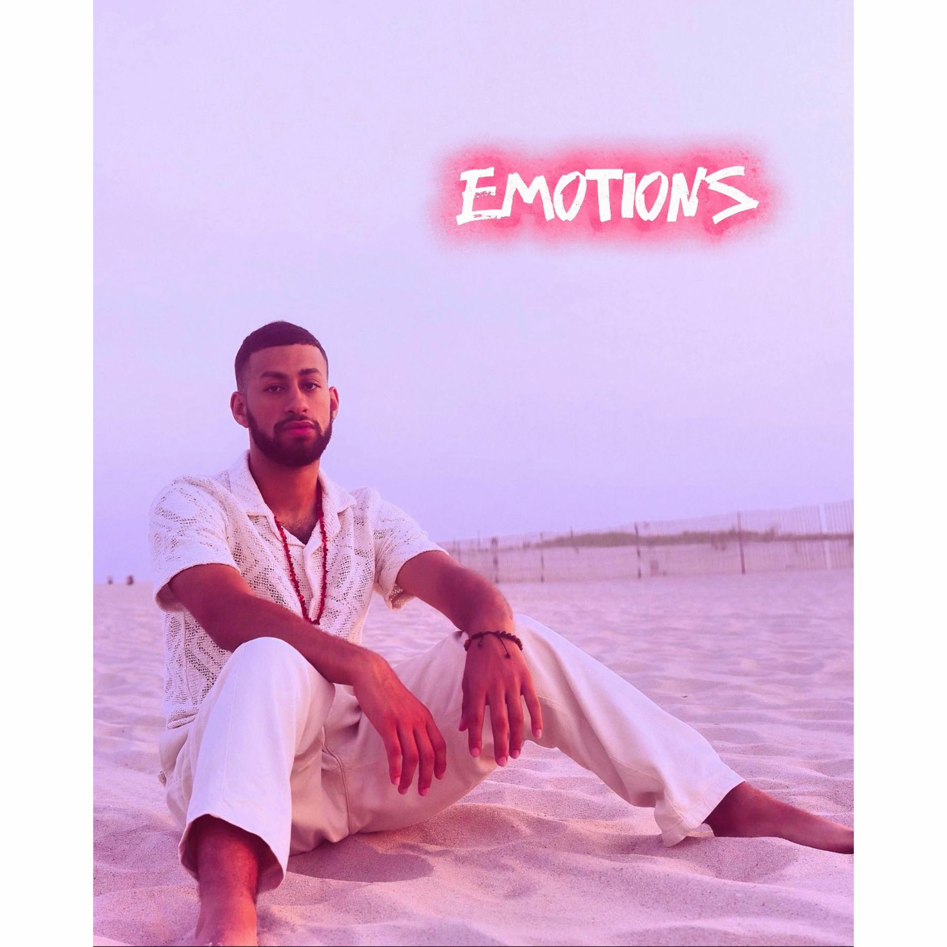 Album cover of Emotions