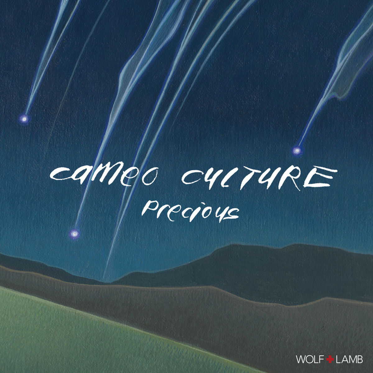 Album cover of Precious