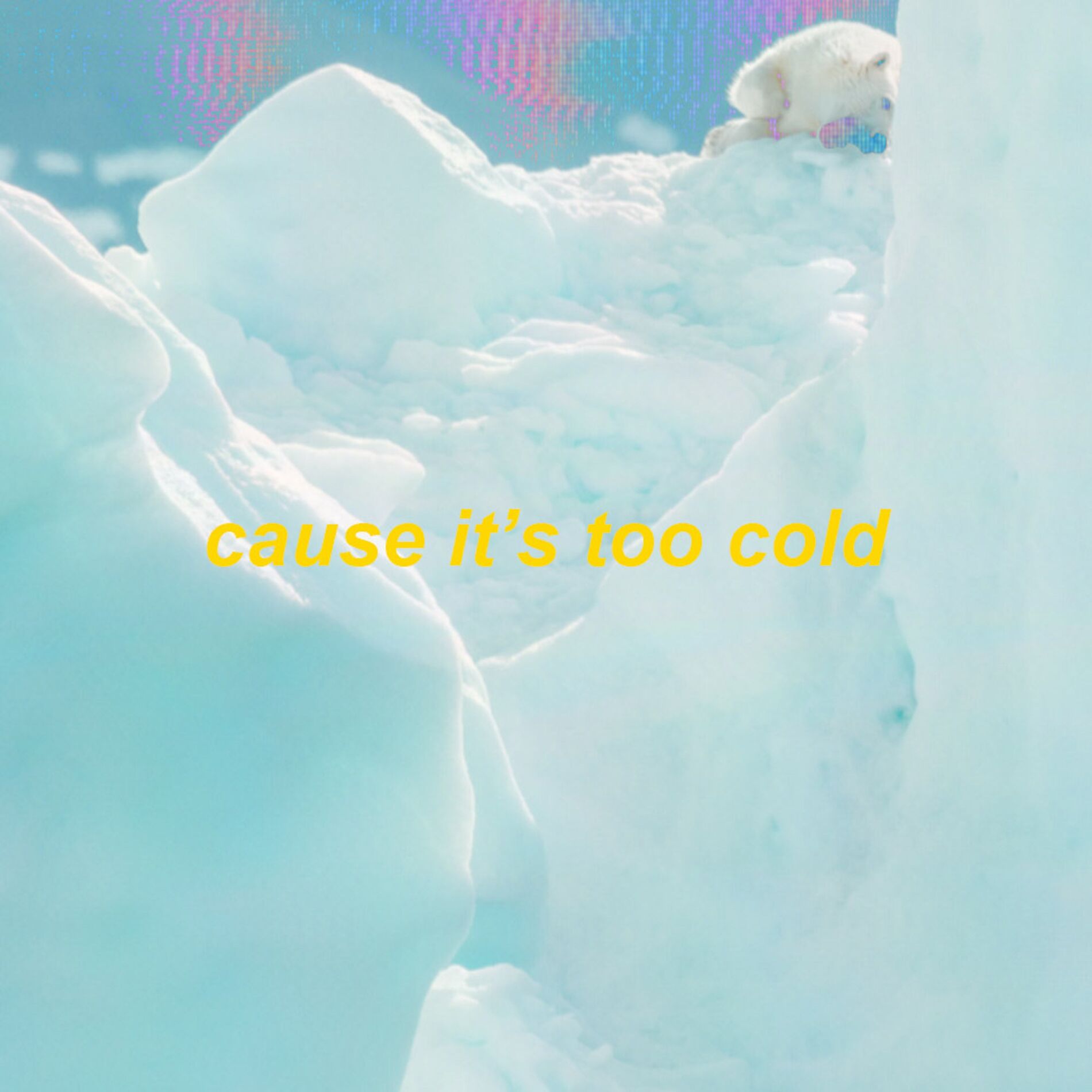 Album cover of sweater weather