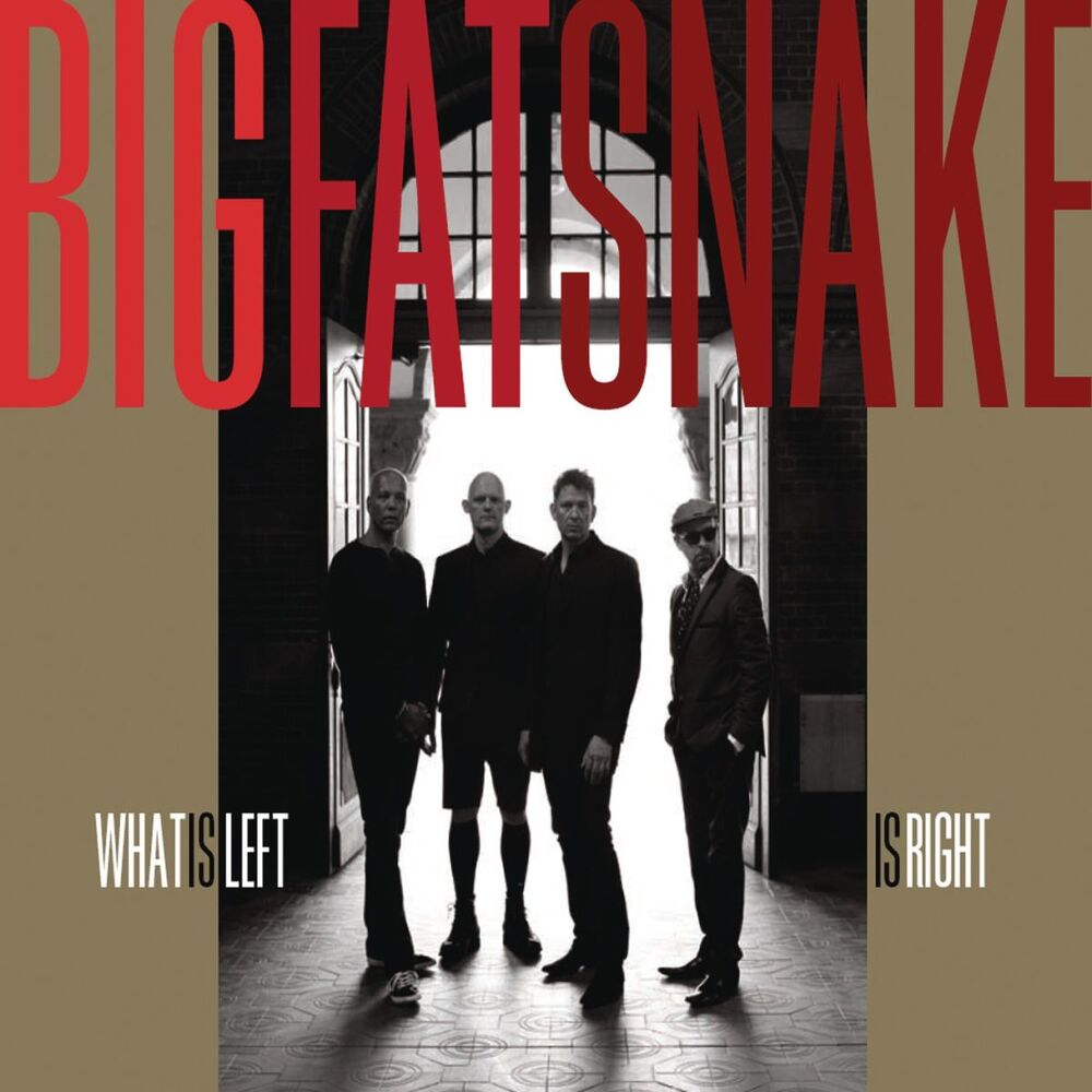 Picture of What Is Left Is Right