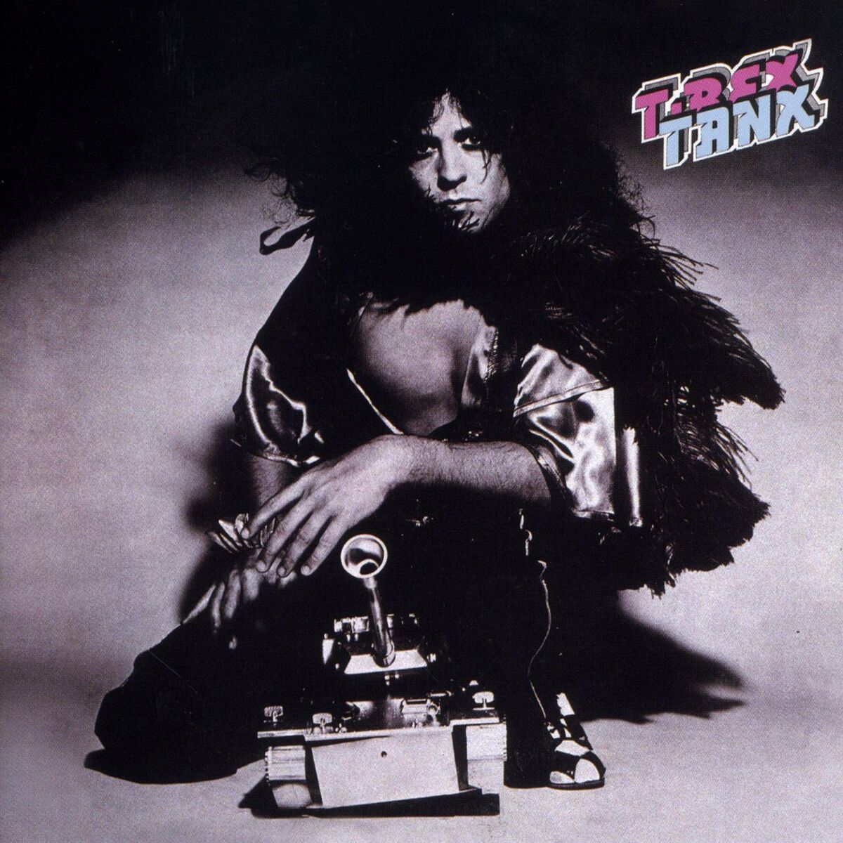 Album cover of Tanx