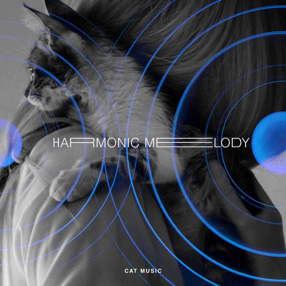 Picture of Harmonic Melody