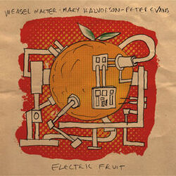 Cover of Electric Fruit