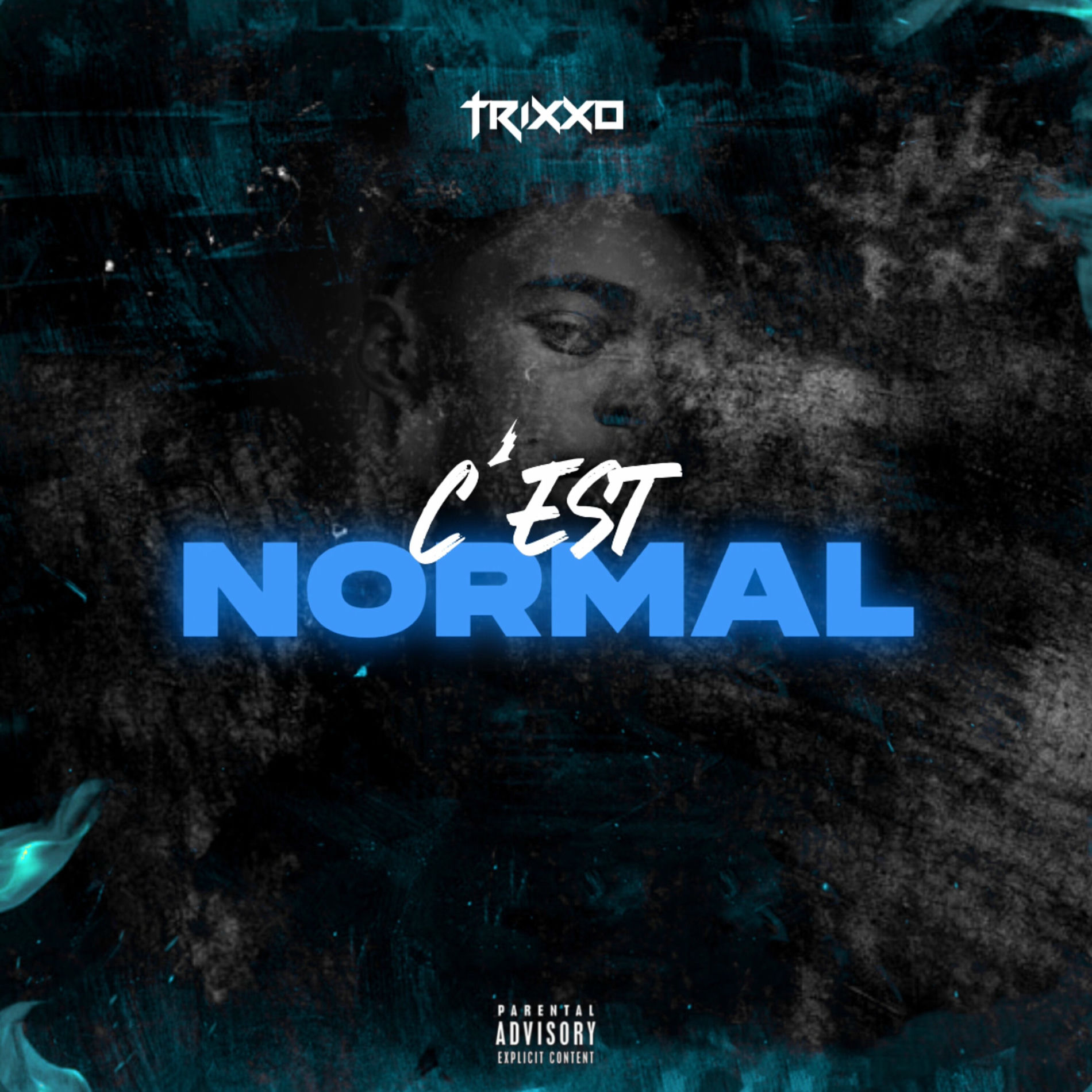 Album cover of C'est normal