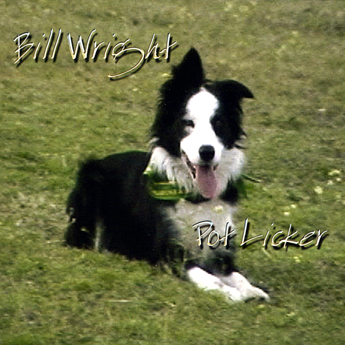 Album cover of Pot Licker