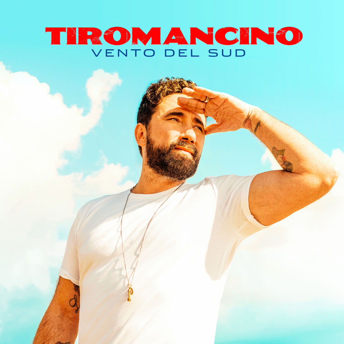 Album cover of Vento Del Sud