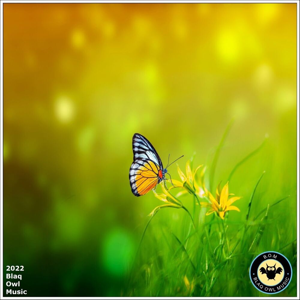 Picture of Monarch EP Part II