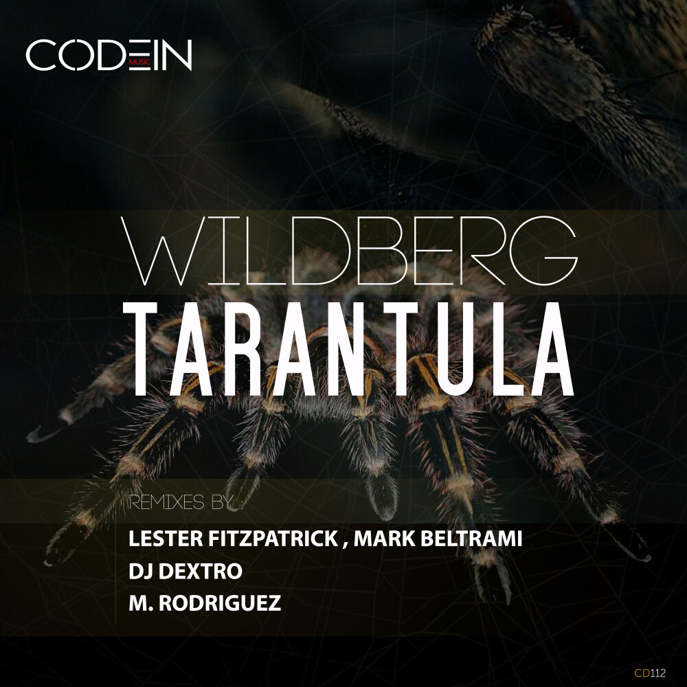Picture of Tarantula