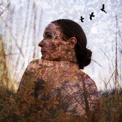 Cover of Here Comes the Rain