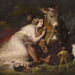 Cover of Mad Summer Knight's Dream