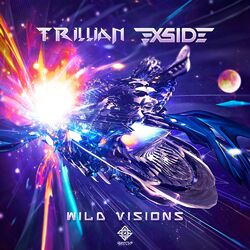 Cover of Wild Visions