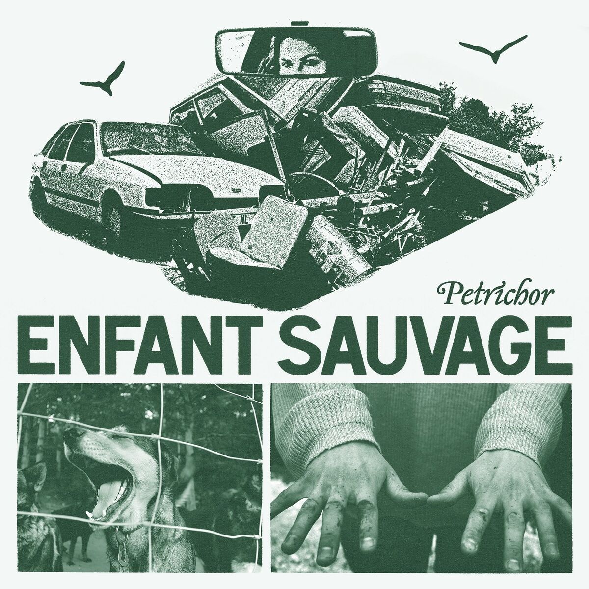 Album cover of Petrichor