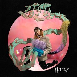Cover of Holes