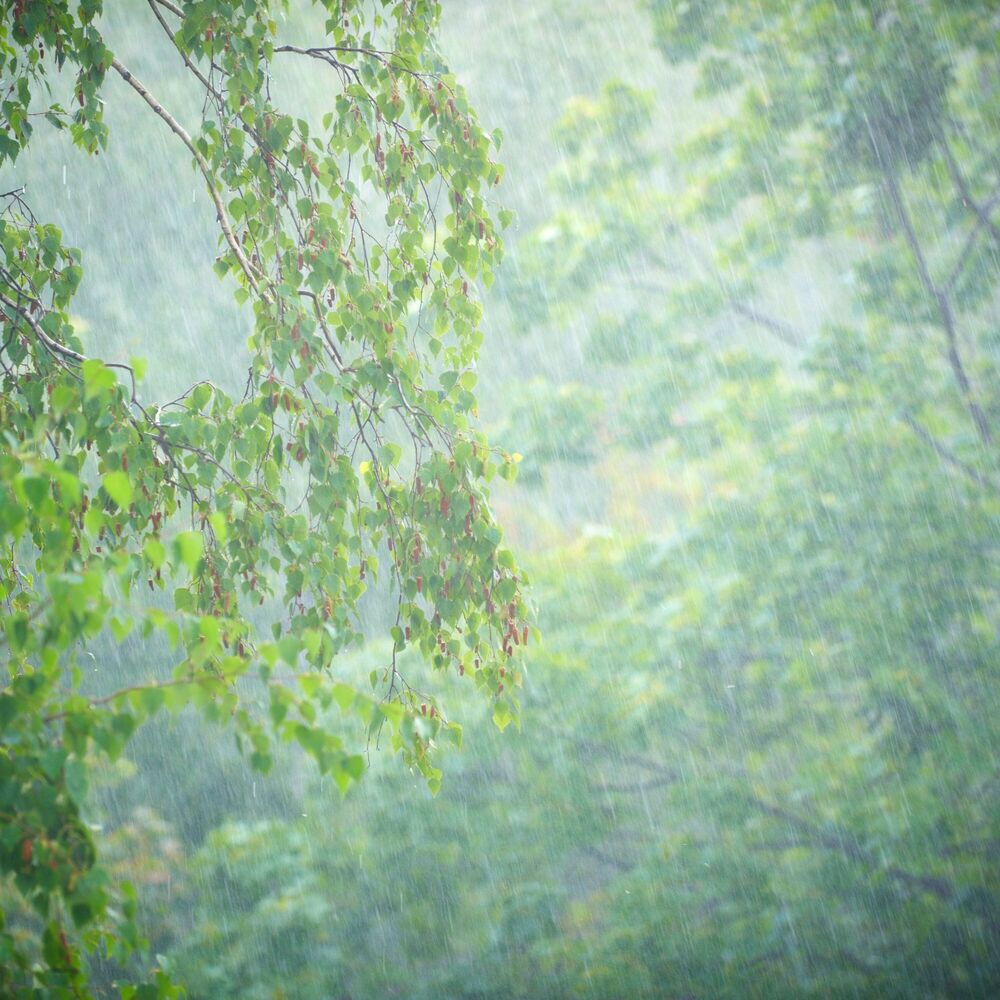 Picture of Shower Serenity: Meditative Rain Symphony's Peace