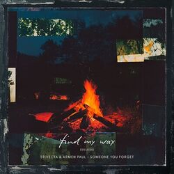 Cover of Someone You Forget
