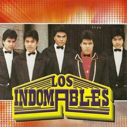 Cover of Los Indomables