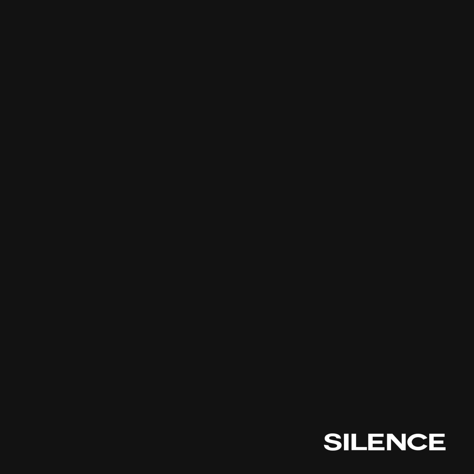 Album cover of Silence
