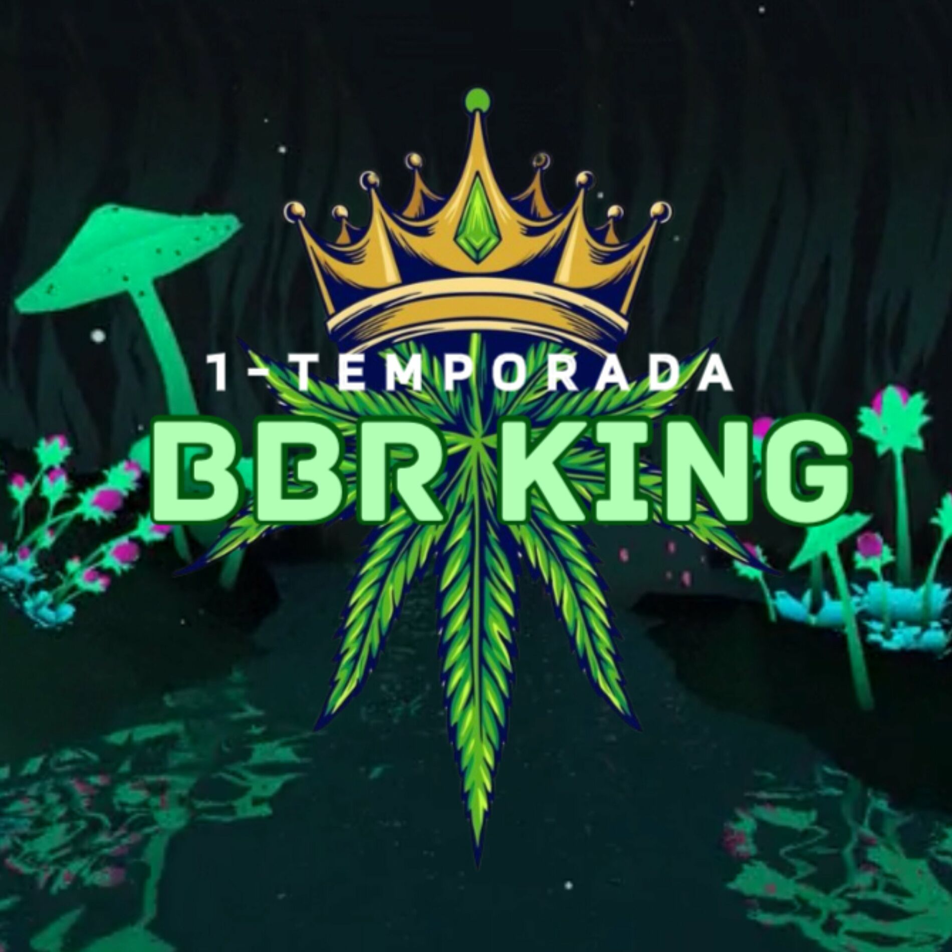 Album cover of 1 - Temporada
