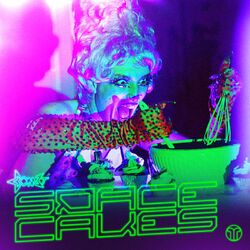Cover of SPACE CAKES