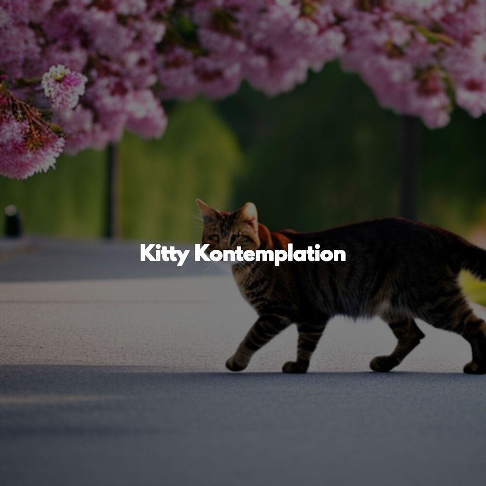 Picture of Kitty Kontemplation