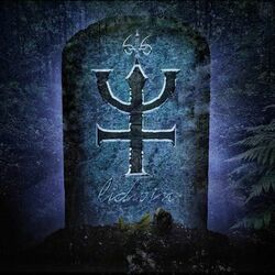 Cover of Lidwin