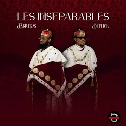 Cover of LES INSEPARABLES