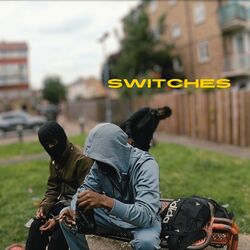 Cover of Switches