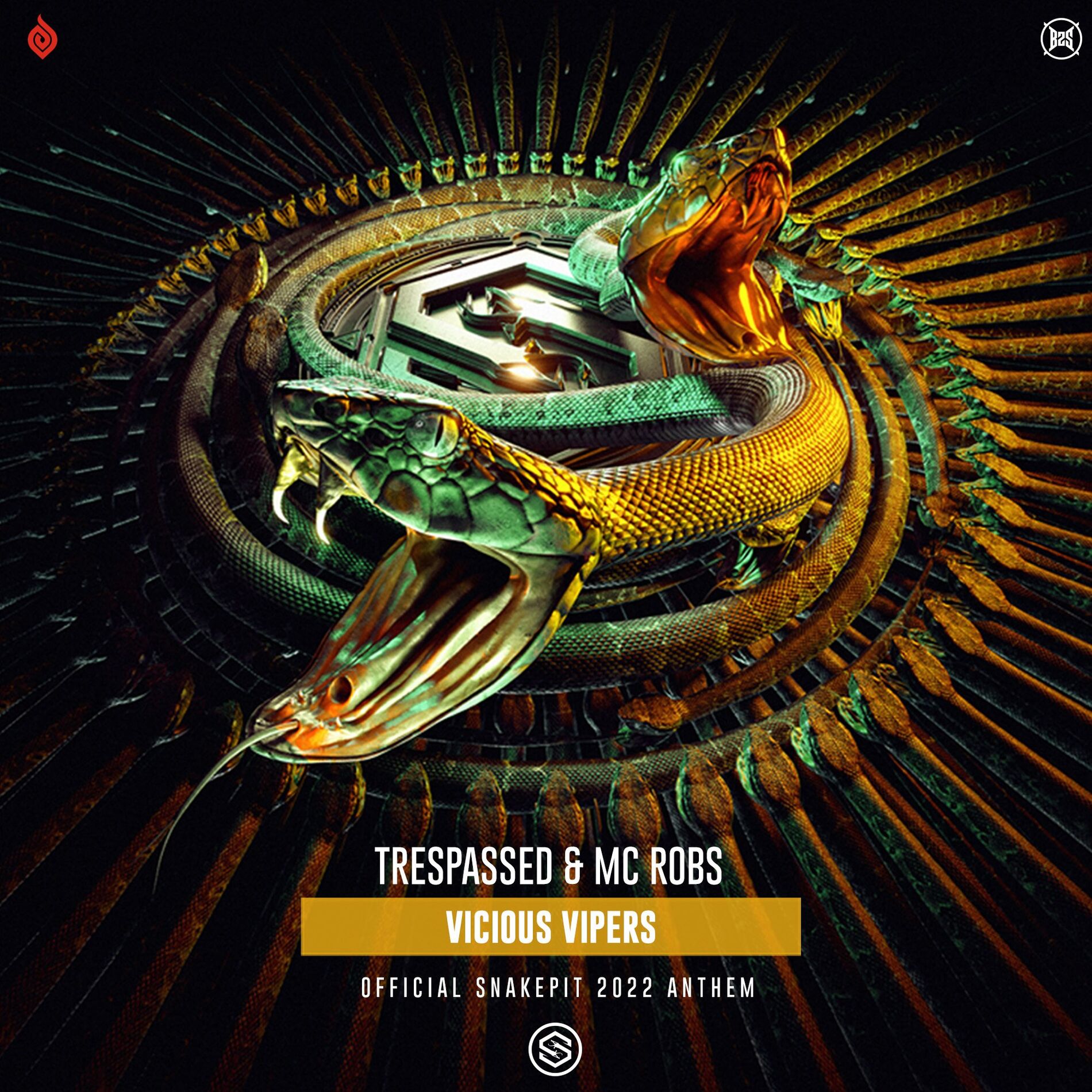 Album cover of Vicious Vipers